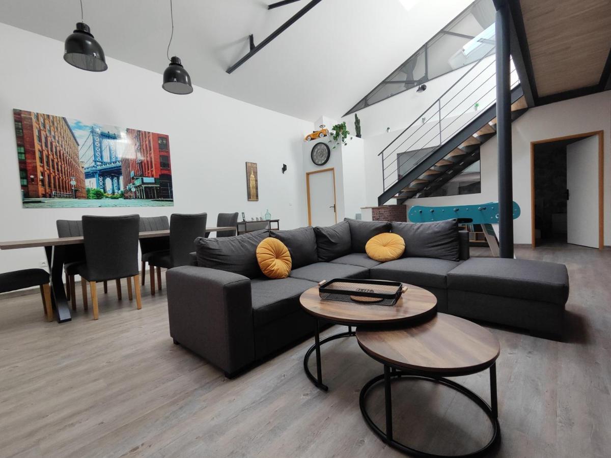 O Loft - 3 Chambres Avec 3 Salles De Bains - Parking - Climatisation Albi Zewnętrze zdjęcie