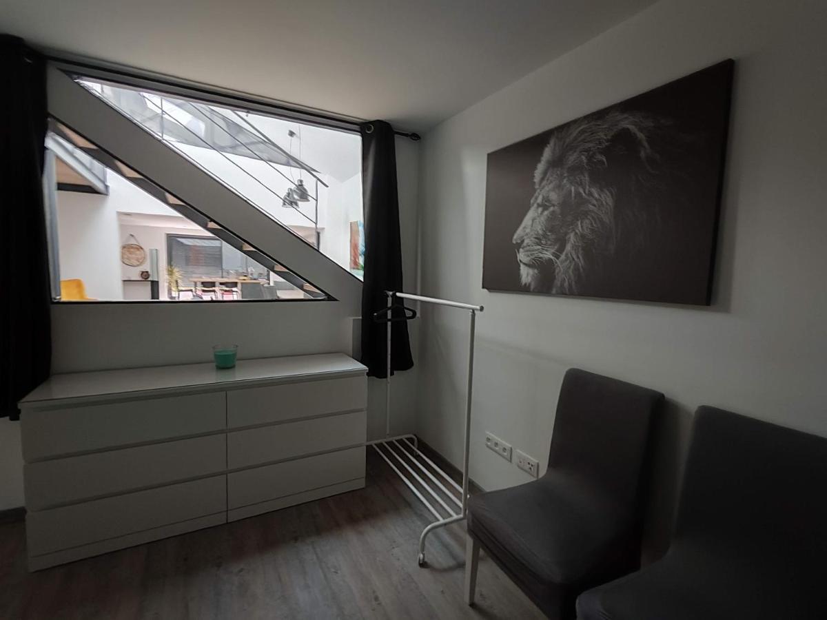O Loft - 3 Chambres Avec 3 Salles De Bains - Parking - Climatisation Albi Zewnętrze zdjęcie